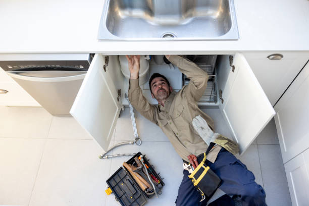 Best Clogged Drain Plumber  in Morrison, IL